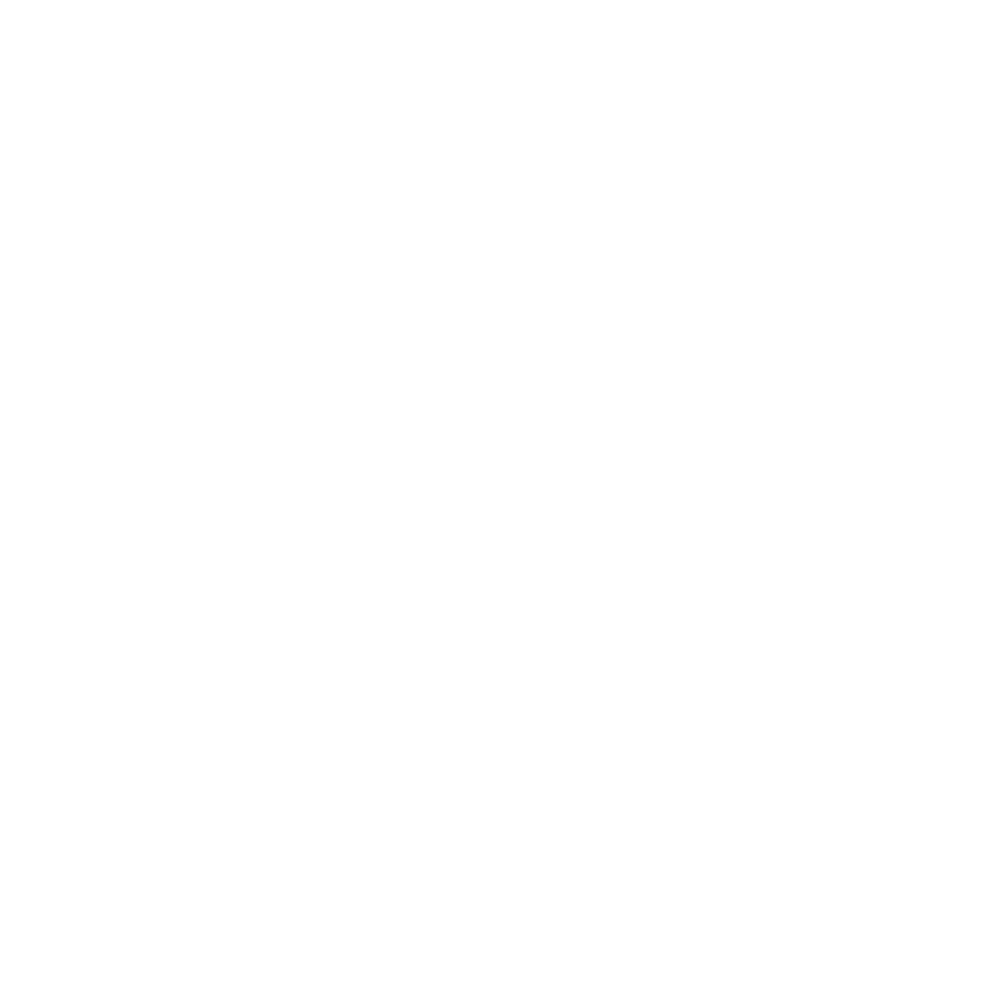 Instagram Logo White